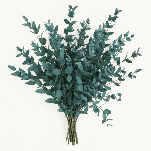 Dried Eucalyptus Stems, Preserved Blue Branches Leaves for Vase Fillers
