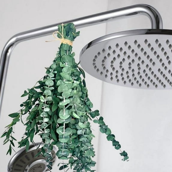 Dried Eucalyptus Stems for Shower - 17" Preserved Eucalyptus Leaves Bundle, Hanging Eucalyptus Bundle, Green Plant for Shower Hanging, Bathroom Essentials