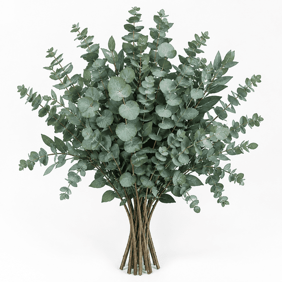 Dried Eucalyptus Stems for Shower Hanging, 100% Made from Fresh Leaves, 17 Preserved Eucalyptus for Vase Filler, Wedding, Farmhouse, Bathroom, Home & Spa Decor