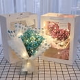 thumbnail image 1 of Dried Flower Bouquet, Baby’s Breath Flower Gift With Light Decoration Long Lasting Creative Cute Birthday Valentine’s Day Anniversary Graduation Gift for Her Women Girlfriend, 1 of 3
