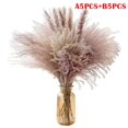 thumbnail image 2 of Natural Dried Flower Bouquet – Pampas Grass Bunch – 60 Stems, 17.7 Inches – Beige/Brown/White – Wedding Home Decor 2 of 4