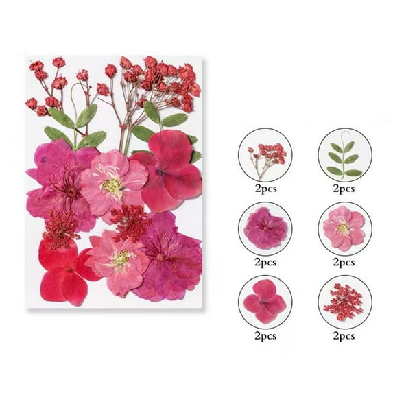 Dried Flower Set under $5! Kadlawus Dried Flowers for Crafts, Natural Pressed Flowers, DIY Embossing Flower Set, Flower Decoration Supplies for Resin, Scrapbooking, Card Making, Home Decor