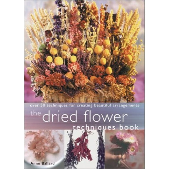 Pre-Owned Dried Flower Techniques Book: Over 50 Techniques for Creating Beautiful Arrangements (Paperback) by Anne Ballard