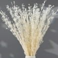 thumbnail image 1 of Dried Flowers Babys Breath Bouquet, – 17 Inch 3500+ Preserved Natural Flowers, Dried Floral Arrangements for Wedding Decor, Farmhouse Vase Crafts, DIY Wreath, Home Party Decoration, White, 1 of 9