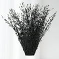 thumbnail image 1 of Dried Flowers Babys Breath Bouquet, – 17 Inch 3500+ Preserved Natural Flowers, Dried Floral Arrangements for Wedding Decor, Farmhouse Vase Crafts, DIY Wreath, Home Party Decoration, Black, 1 of 17
