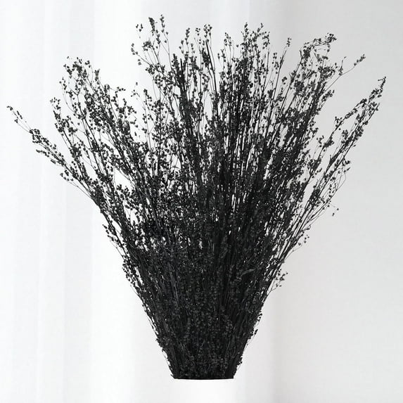 Dried Flowers Babys Breath Bouquet, – 17 Inch 3500+ Preserved Natural Flowers, Dried Floral Arrangements for Wedding Decor, Farmhouse Vase Crafts, DIY Wreath, Home Party Decoration, Black