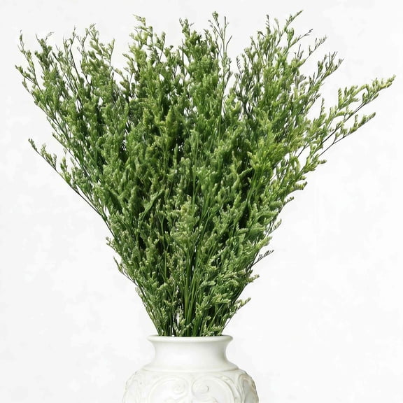 Dried Flowers Bouquet, 15.7" Dry Caspia Flower Bundle, 4.23oz Floral Lavender for Wedding Decor, Door Wreath, Home Party Table Vase Decoration