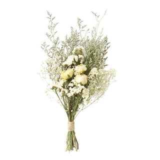 pantydropper × uncrowd Dry flower white Dried White Flowers