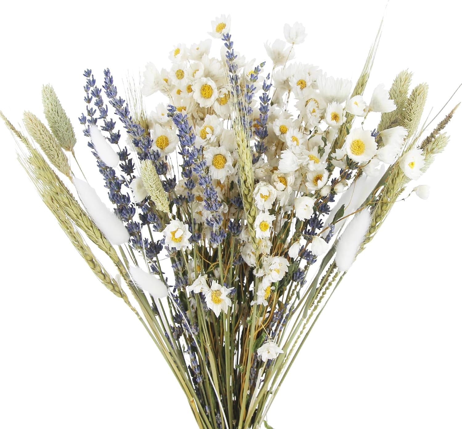 Dried Flowers Bouquet Dried Daisy Flowers Natural Lavender Dried Flowers Bunny Tails Gerber Daisies Flowers Wheat Stalks Floral Arrangements for Wedding Table Centerpiece Decor Farmhouse