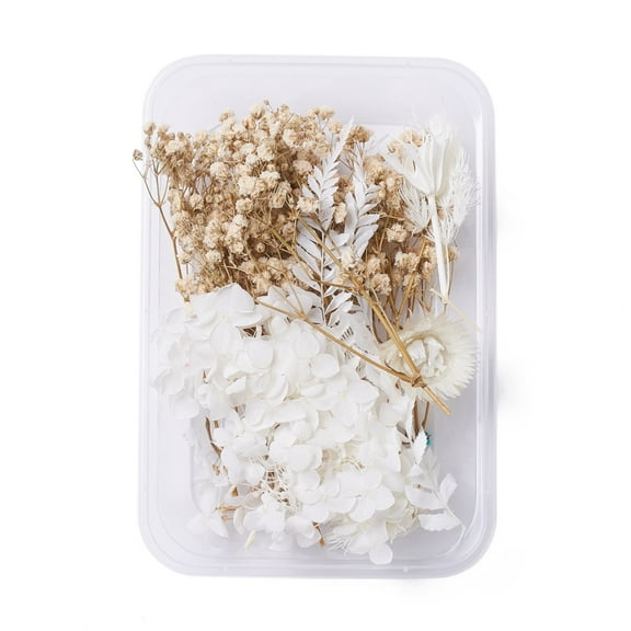 Dried Flowers DIY Candle Soap Making Accessories with Plastic Rectangle Box BurlyWood & White 2.2~14x2.4~10.2cm