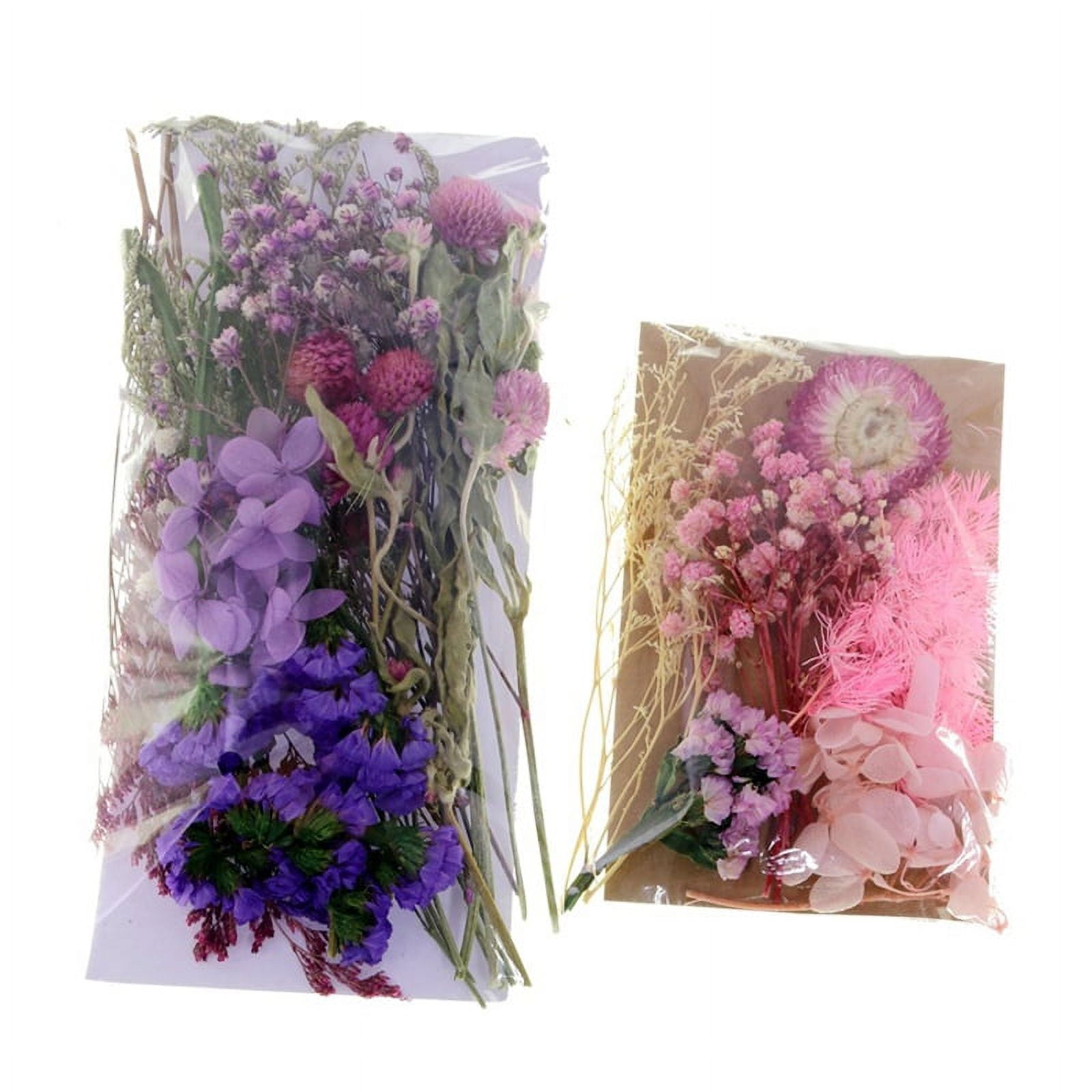 Dried Flowers For Candle Making Natural Pressed Flowers Colorful DIY Art  Floral Decors Collection Gift Craft 8 