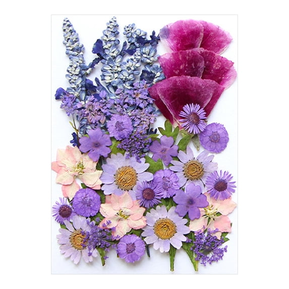 Dried Flowers For Resin, Zzbeans Natural Embossed Floral Kit, Premium Dried And Pressed Flowers For Crafts Candles DIY Decor