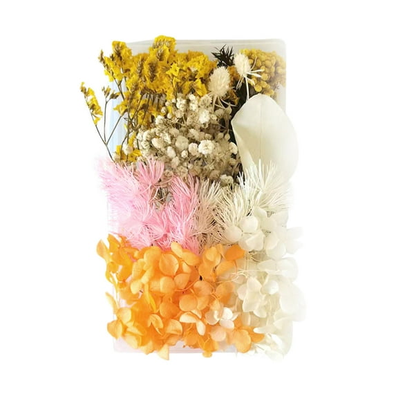 Dried Flowers Kit under $5! Xqxayjr Dried Flowers Material Kit for DIY Craft, Everlasting Floral Supplies for Valentine's Day Gift Making