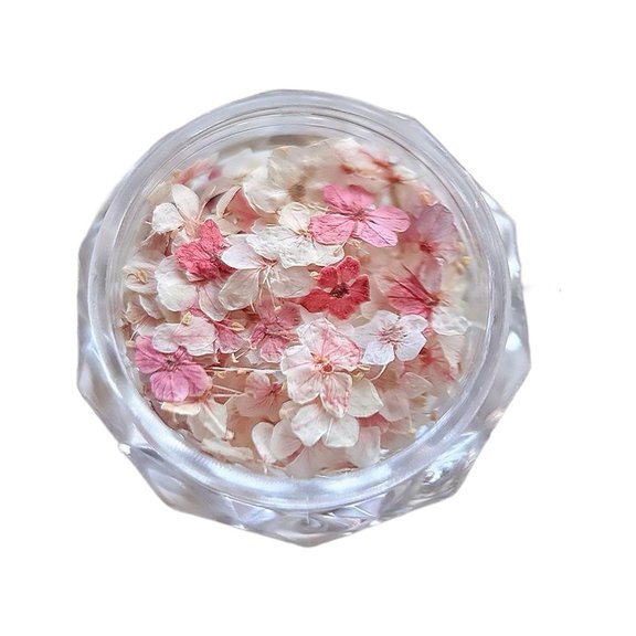 Dried Flowers for Nail Art, Real Natural Pressed Flower Decorations with Storage Container, Mini Botanical Floral Accents for Manicure, Acrylic Nails, DIY Crafts, 20 Pieces