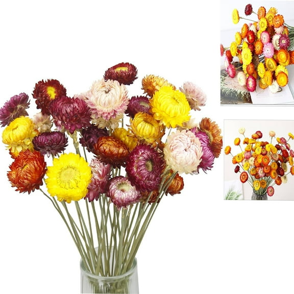 Dried Flowers Natural Daisy Mums Flower Tutuviw 20 Stems Multicolor Daisies Artificial Sunflowers Fall Orange Dry Flowers Bouquets for Vase Farmhouse Decor, DIY Table Centerpiece Decoration