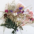 thumbnail image 1 of Dried Flowers, Natural Dried Flower Herbs Kit for Bath, Soap Making, Candle Making - 9Bag Include Dried Lavender, Rose Petals, Jasmine Flower, Gomphrena Globosa and More, 1 of 6