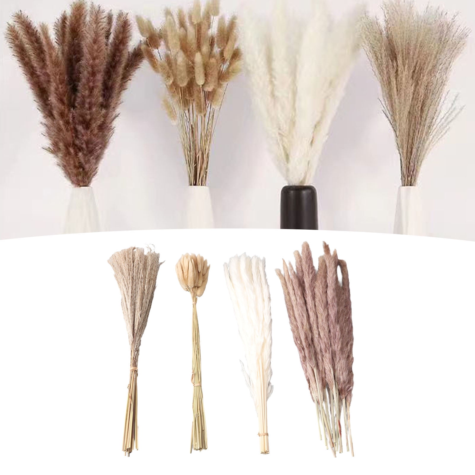Dried Flowers Reed, Dried Pampas Grass Lasting For Living Room