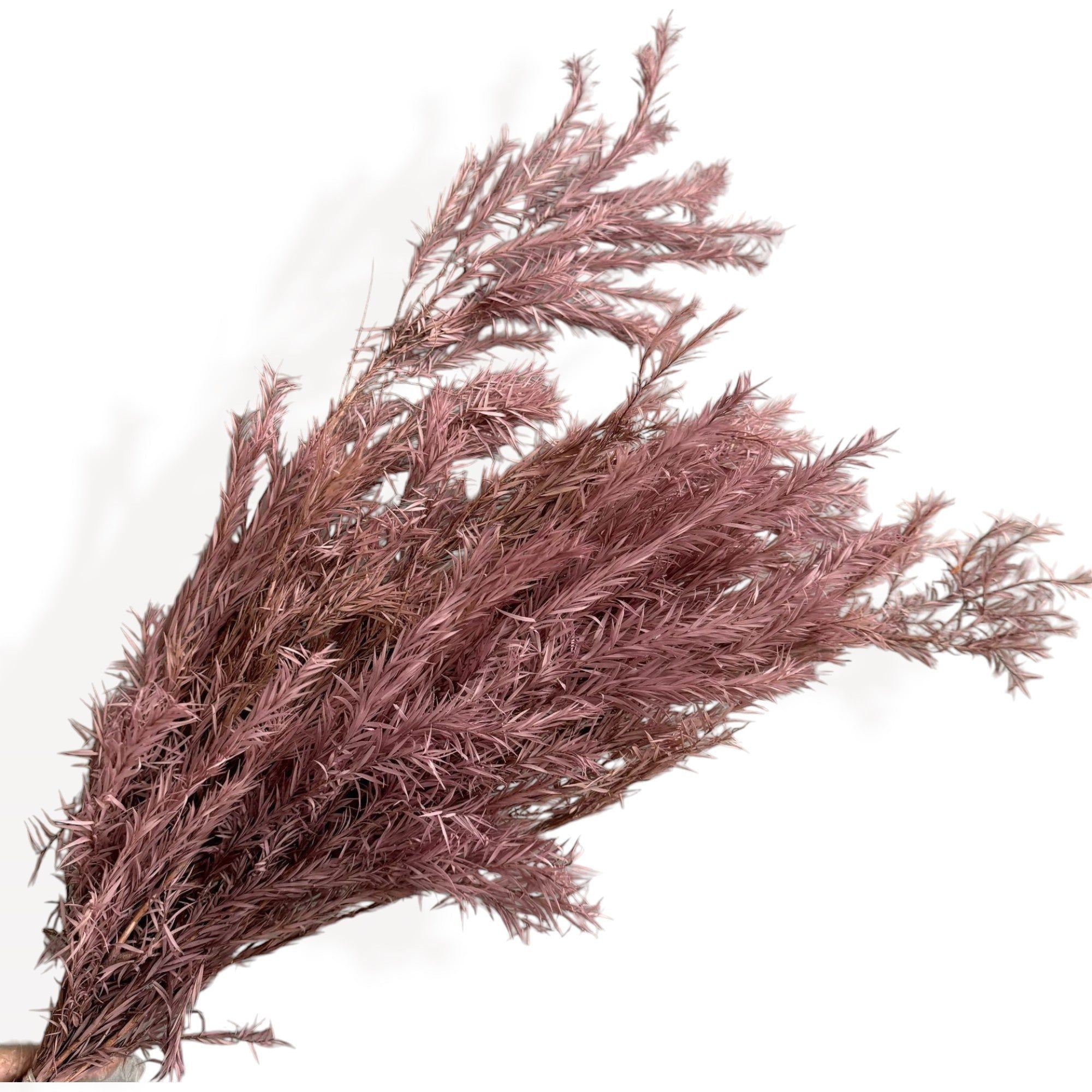 Dried Flowers Rosemary Branch Arrangement for Home Decor, 29.5 Inches - Mauve Pink