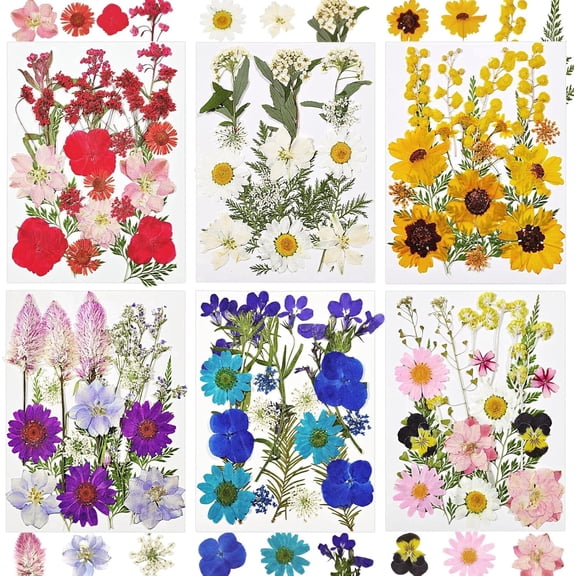 Dried Flowers for Crafts, 106pcs Vacuum Packed Natural Pressed Flowers and Leaves, for Jewelry, Candles, Soap, Nail Production