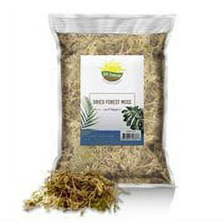 Dried Forest Moss For Soil Topping (1 Quart), Mossy Plant Base soil Additive and Craft Accessory