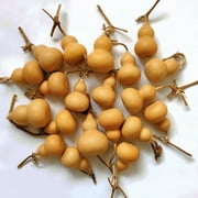 Dried Gourds,Mini Gourds,Gourds Dried for Crafts,Good Luck Decorations,Ideal for Home Decor,Car Interiors,Office Desktop Decorations,Natural Gourds20 Pcs,1.58-2.56in