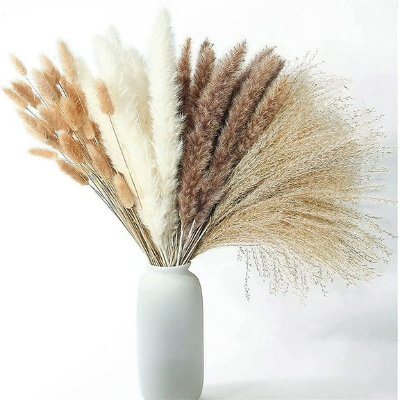 Dried Grass Decor,Casewin 60 Pcs Grass Contains Bunny Tails Dried Flowers, Reed Grass Bouquet for Wedding Boho Flowers Home Table Decor, Rustic Farmhouse Party (White and Brown)