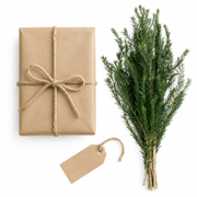 Dried Greenery Stems Decor - Melaleuca Bracteata Branches for Vase