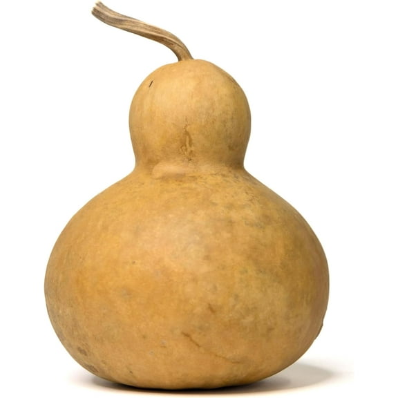 Dried Hard Shell Bottle Gourd - 6" Diameter, Ready for Crafting and Decorating