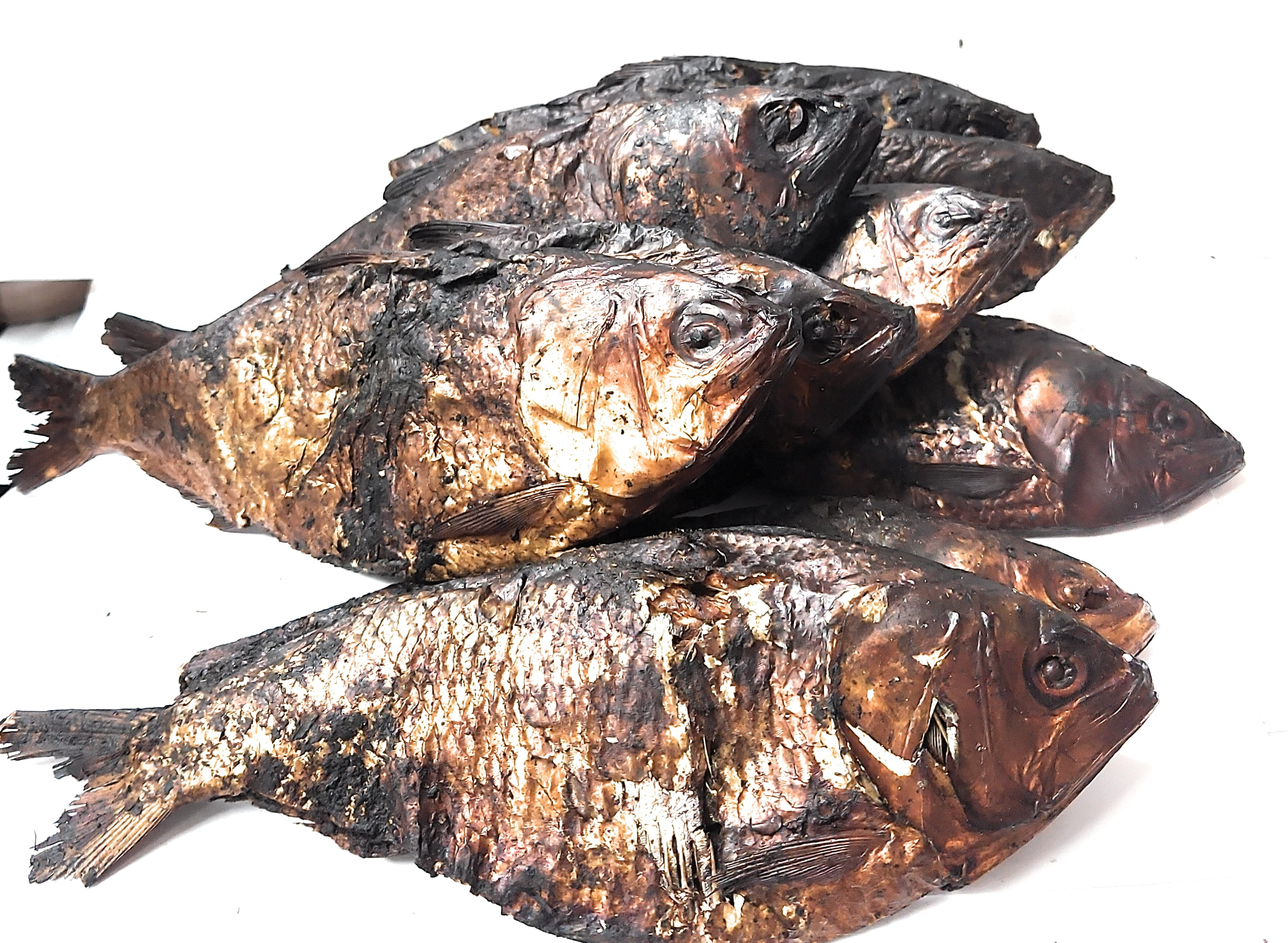Dried Herring Fish with Skin and Headon, (Bonga Fish/ Bonny Fish) SALT