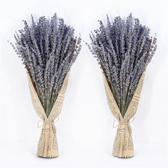 Dried Lavender Bundles,Dried Lavender Flowers,200 Stems Dried Lavender,Lavender Bouquetfor Home Decoration Vase Filled Home Fragrance,2 Bundles