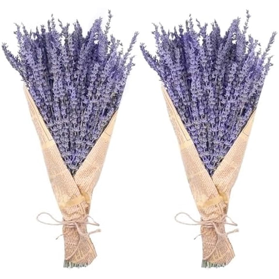 Dried Lavender Bundles,  Natural Dried Lavender Flowers 280-300 Stems 16“ for Home Weeding Decoration Flower Arrangements Home Fragrance 2 Bundles