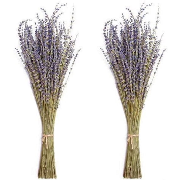 Dried Lavender Bundles Natural Dried Lavender Flowers For Home Decoration