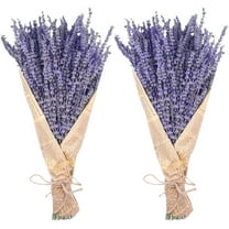 Dried Lavender Bundles, Natural Dried Lavender Flowers 280-300 Stems 16“ for Home Weeding Decoration Flower Arrangements Home Fragrance 2 Bundles