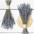 thumbnail image 1 of Dried Lavender Flower Bundle,200 Stems 16'' Preserved Lavender Bouquet,Dried Lavender,Dried Flower Bouquet for Home Decor,Vase,Crafts,Gift Wrap,Wedding, 1 of 7