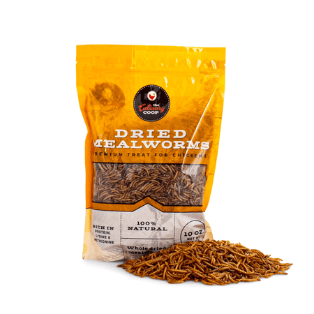 Dried Mealworms Premium Treat for Chickens 10 oz