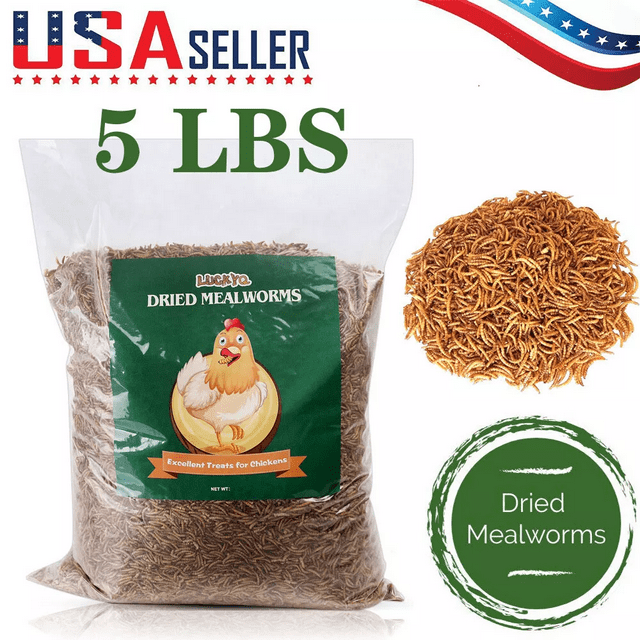 Dried Mealworms Wild Bird Food For Bluebirds, Robins, Chickadees, Chickens LOT