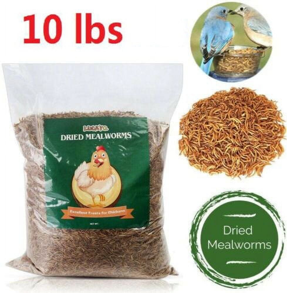 Dried Mealworms for Birds Chickens Hamster Fish Reptile Turtles 10 lbs Mealworms