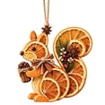 thumbnail image 1 of Dried Orange Slice Christmas Ornament Animal Shaped Natural Hanging Tree Decor Design E, 1 of 7