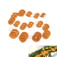 thumbnail image 1 of Dried Orange Slice Decorations,1Pack Realistic Natural Touch,QZS Dried Orange Slices Hanging Garland for Fireplace,Table,Christmas Tree,Home, 1 of 6