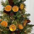 thumbnail image 1 of Dried Orange Slice Fall Christmas Garland,Christmas Decorations,Christmas Tree Decoration Rattan Orange Slices Long Rattan Christmas Tree Pendant Fireplace Home Decoration(1pc 10ft), 1 of 6