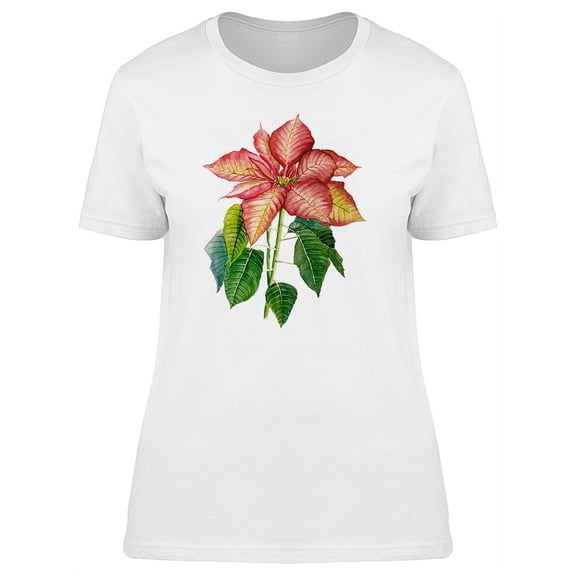 Dried Out Poinsettia Tee Women's -Image by Shutterstock