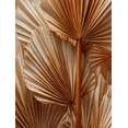 thumbnail image 1 of Dried Palm Leaf Canvas Print Wall Art for Living Room Bedroom Kitchen Office Entryway, 1 of 8