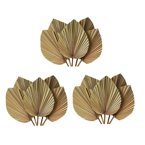 Dried Palm Leaves Room Decor 15 Pieces - 18Inch H x 10Inch W Large Natural Palm Leaf Decor for A Beautiful Boho Look,15 x palm leaves,Primary color
