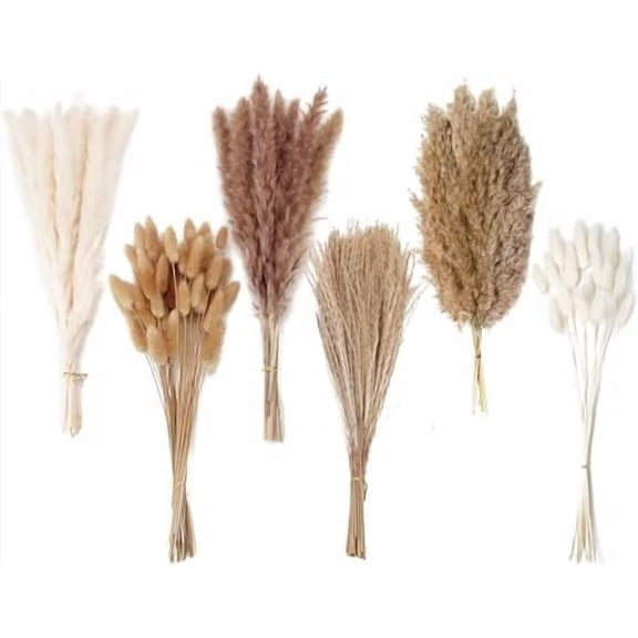 Dried Pampas Grass Decor, 120 PCS Pampas Grass with Bunny Tails Dried Flowers, Reed Grass Bouquet for Wedding, Boho Flowers, Home Table Decor, Rustic Farmhouse Party (White and Brown)
