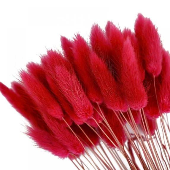 Dried Pampas Grass Decor Tall - Total 50 Stems - Multi - Color Small Pampas Grass Plants for Home Decor , Wedding and Events Arrangements