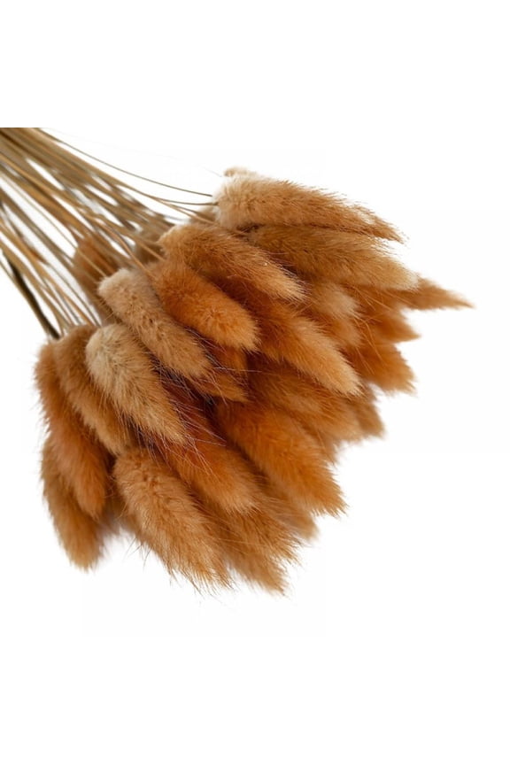 Dried Pampas Grass Decor Tall - Total 50 Stems - Multi - Color Small Pampas Grass Plants for Home Decor , Wedding and Events Arrangements
