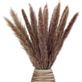 thumbnail image 1 of Dried Pampas Grass -Natural,30 pcs Reed Grass Plumes, Dried Flower Bouquet for DIY Home Kitchen Wedding Party Decor, 1 of 7