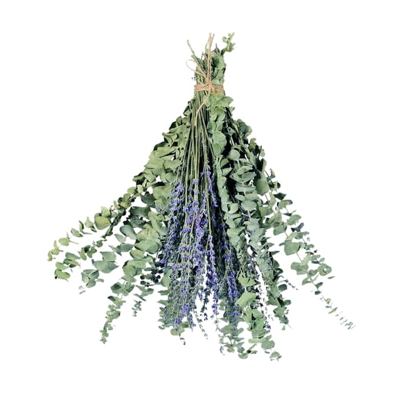 Dried Preserved Eucalyptus Stems & Lavender Flowers Bundles 15in