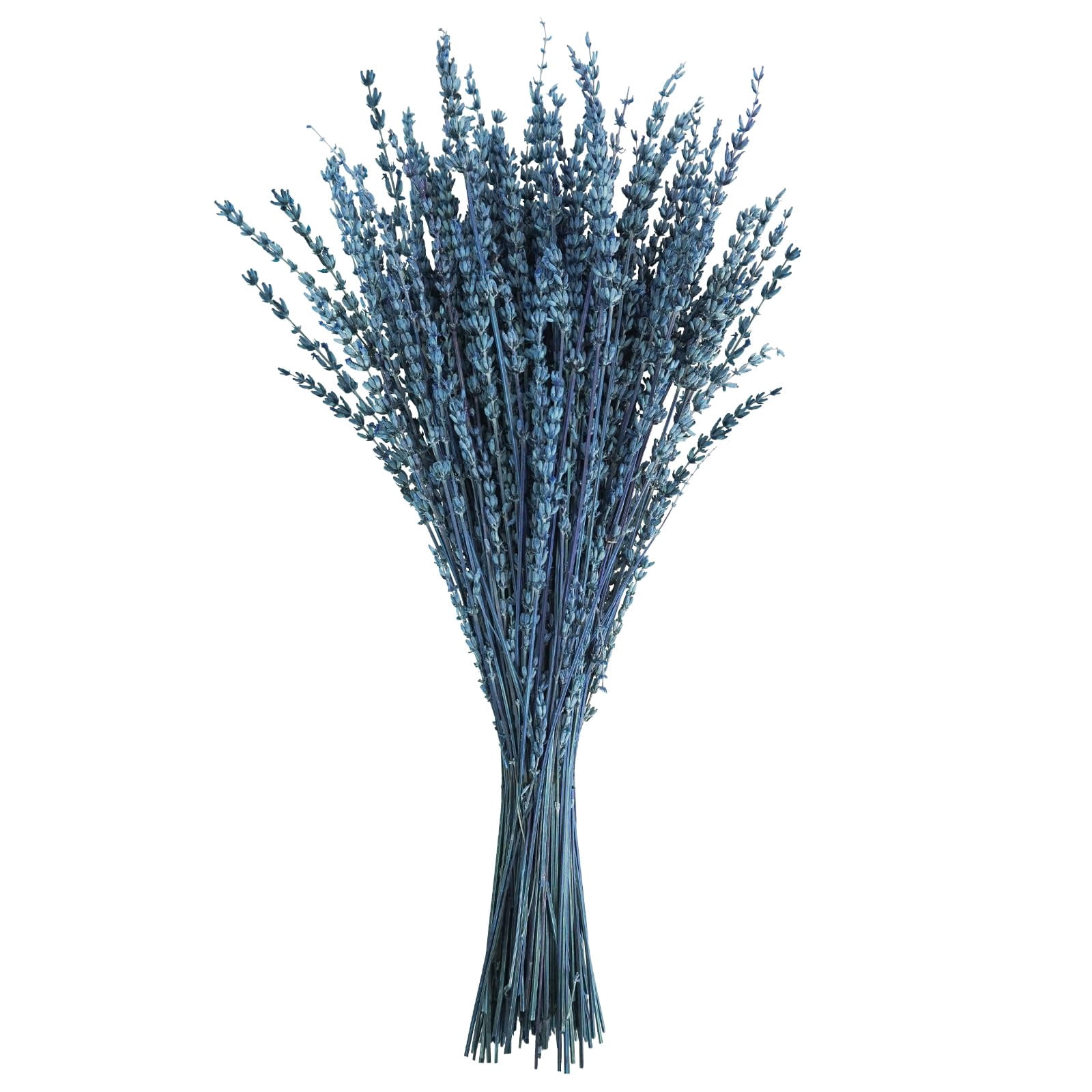 Dried Preserved Lavender Flowers Bundle Blue-1.76oz 16" Bouquet Home Fragrance Craft Decor