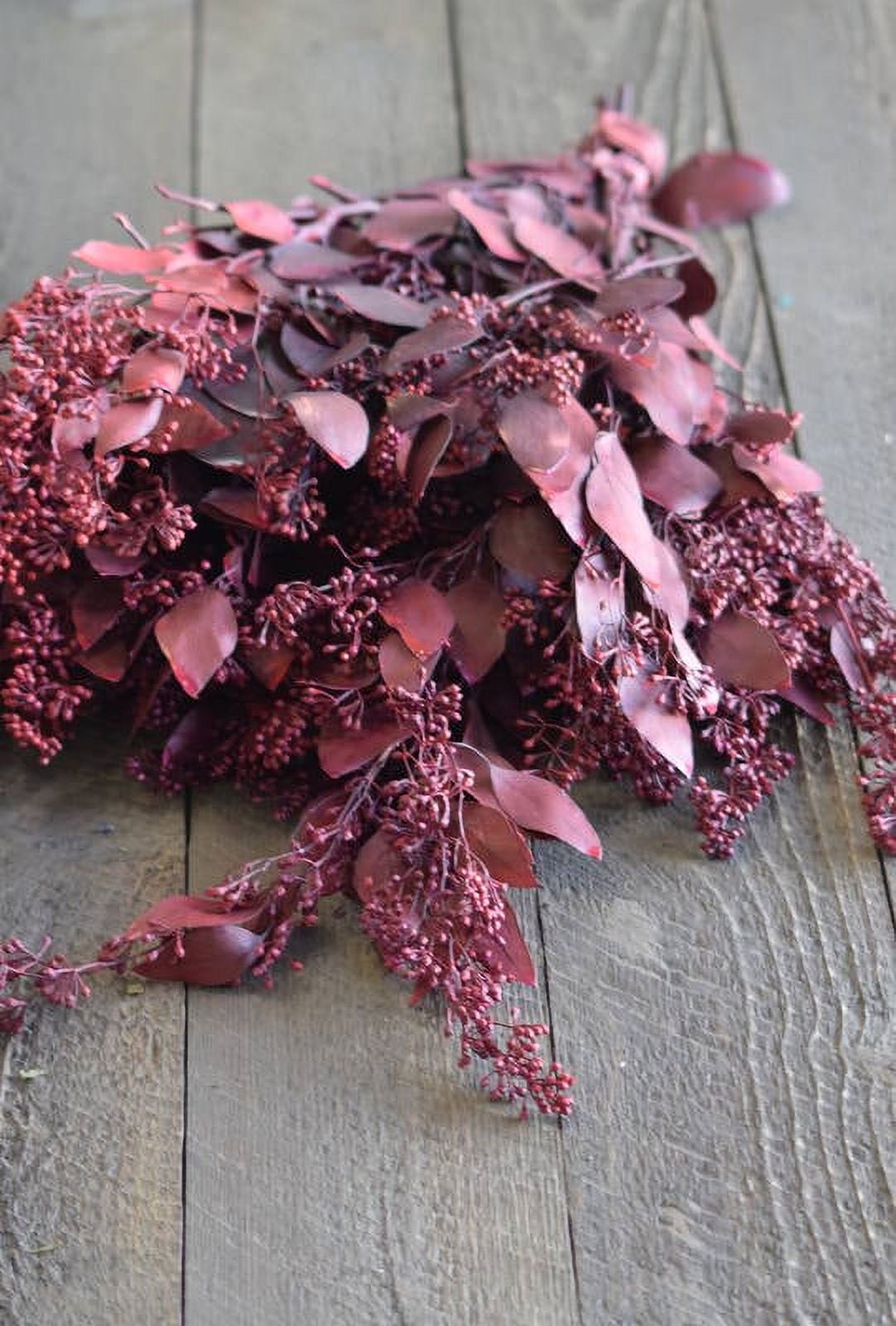 Dried & Preserved Seeded Eucalyptus Branches Colors 1 lb bunch 24